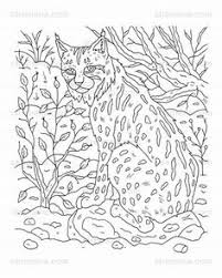 Lynx Wildcat And Owl Printable Animal Coloring Pages Animal Coloring Pages Coloring Pages Coloring Books