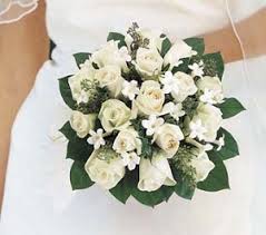 We did not find results for: Utah Wedding Flowers Tulip Tree Floral Salt Lake Bride