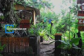 Taman eden seluas 40h yg diberikan kepada marandus sirait selaku pengelola taman eden. Menyibak Taman Eden 100 Harta Karun Ekowisata Tobasa Traveling Medan