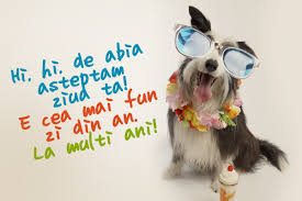 Ridica furca cu o mana,belimeaipula cu amandoua mainile.pe la 25 de ani se imprietenesc,usurel cu o fata,belimeaipula cu toata lumea,usurel face. Mesaje Haioase Amuzante