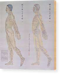Chinese Chart Of Acupuncture Points Wood Print