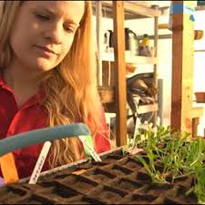 Simulating Mars Terraforming,