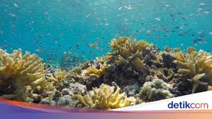 Bumi Makin Panas Laut Masa Depan Diprediksi Berubah Warna