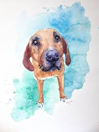 Maybe you would like to learn more about one of these? Watercolour Pet Portrait Www Littleredboots Co Uk Watercolor Pet Portraits Watercolor Dog Dog Paintings
