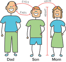 Genes Environment And Behavior Article Khan Academy