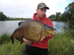 Rögle dammar är ett lättillgängligt och familjevänligt sportfiskeområde med iordningställda grillplatser, toaletter, vindskydd och ett flertal bryggor. Swedbait