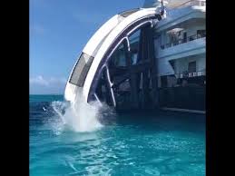 Maybe you would like to learn more about one of these? Greg Great White Shark Norman On A Funair Yacht Slide In The Bahamas Youtube