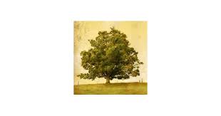 Richard Leon Plank Obituary (2022)