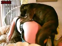 Dog Fucks Woman Animal Sex Hardcore Hd Porn Porn Tubes Video Sex Pornbraze Com
