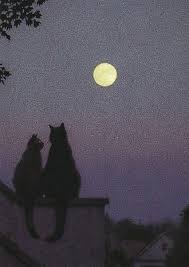 Kitty Cat Love Photography Art Couple Cute Light Beautiful Perfect Vintage Friends Inspiration Indie Dreams Moon Old Animal Dark Na Cat Art Dark Aesthetic Cats