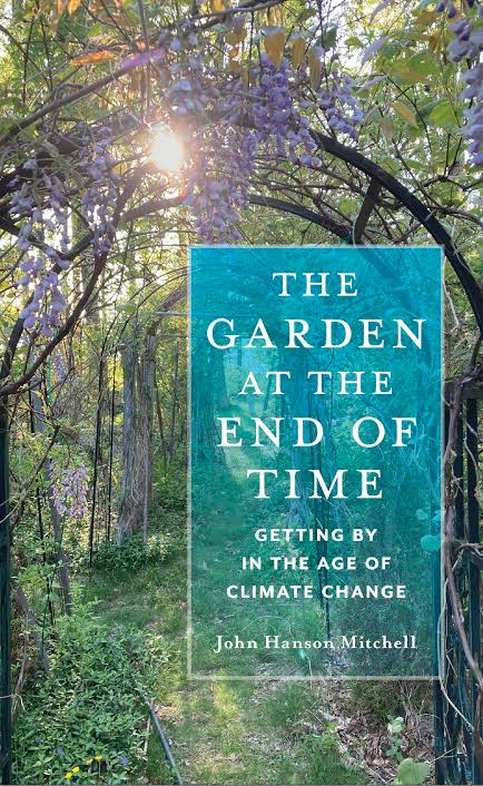 The Garden at the Edge of Time