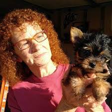 Steven Sowder's Instagram, Twitter & Facebook