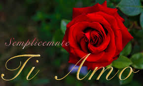 Le 25 frasi più belle e simpatiche Frasi Sulla Donna Amata Per La Moglie Fidanzata Compagna