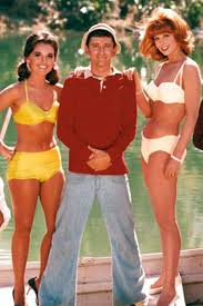 Pin On Dawn Wells