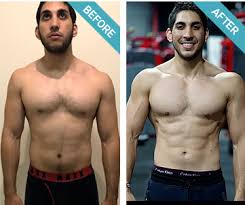 Best Workout Programs To Get Ripped Shred is by far the best one.
