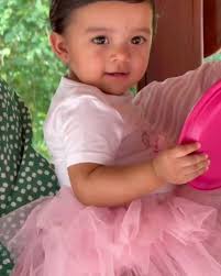 Tony Espinal (@tony_espinal) • Instagram photos and videos