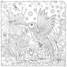 Hummingbird coloring pages is a section presenting to young artists a collection of images of the smallest bird on the planet. Pin By Hyeexpectations On Coloring Birds Bird Coloring Pages Animal Coloring Pages Hummingbird Colors