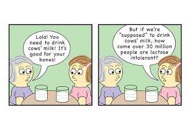 Lactose Intolerance It S Normal Not A Disease Go Dairy Free