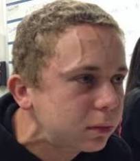 vein" Meme Templates - Imgflip