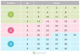 Porque este maravilloso proceso sigue avanzando. Tabla Para Contar Las Semanas Y Los Meses En El Embarazo Etapa Infantil