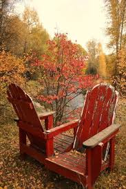 Pin On Cottage Garten Im Herbst