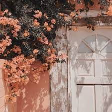 Presets De Kam Presetsdekam Fotos Y Videos De Instagram Vintage Photography Woods Photography Life Photography