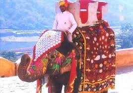 In this video you can understand everything about the joy ride of jaipur.to ride on the luxuries of jaipur, whether it is a camel ride, a horse ride or a. Heart Breaking Review Of Amer Elephant Safari Amer India Tripadvisor