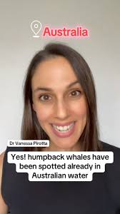 Humpback whale action this weekend! Is this happening earlier? , The  humpback highway will soon be blubber to blubber full of whale action. ,  Here’s a few things to think about.… More eyes