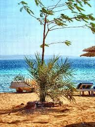 Sea Garden Hotel Bar or Lounge: Pictures & Reviews