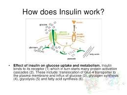 Pin On Controlling Your Blood Sugar