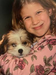 Coping with loss of beloved pet dog