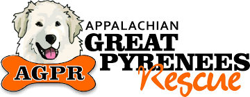 > all activity partners artists childcare general groups local news and views lost & found missed connections musicians pets. The Official Appalachian Great Pyrenees Rescue Website