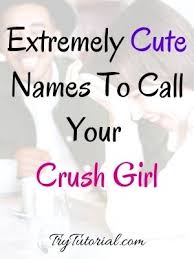 Well, every relationship is different, but you can never go wrong with making them smile. 130 Adorable Cute Names To Call Your Crush Girl 2021 Trytutorial