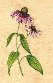 Pin On Tattoo Ideas