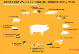 We did not find results for: Germany Presents A New Animal Welfare Labelling Swine News Pig333 Pig To Pork Community