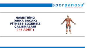 Spor Panosu Fitness Egzersizleri Atletizm Hentbol