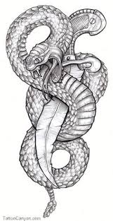 Snake drawing body art tattoos snake art sketches drawings snake tattoo snake illustration snake tattoo design serpent tattoo. Pin On Misc