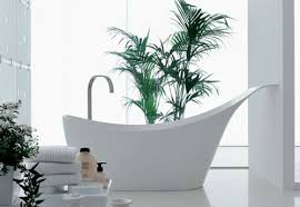 El baño es una habitación en la que las temperaturas varían y en la que la tasa de humedad es elevada. Descubre Como Decorar Una Bano Con Plantas Naturales