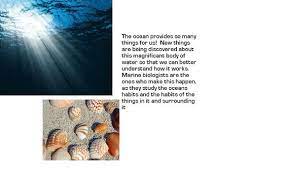 Fun Facts A Day In The Life Of A Marine Biologist
