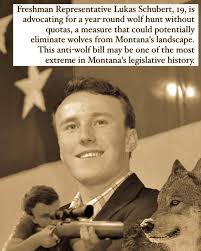 From @wolves_of_the_rockies This anti-wolf bill could be the worst we have  ever seen in Montana legislative history. Have to keep our eye