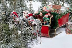 The origins of west midland safari & leisure park can be traced back to the 18th century and spring grove house, which still stands at the attraction, but the estate first opened as the safari park in 1973. Winter Santa Safari Guests 12 640px West Midland Safari Leisure Park