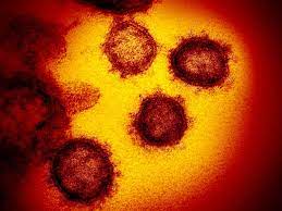 1 day ago · 変異ウイルスの「ミュー株」は南米やヨーロッパで報告され、whoは先月30日、ワクチンの効果や感染力に影響を与える可能性などがある「voi＝注目すべき変異株」に位置づけました。 Gg6id7kktqowkm