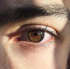 Daryas Saved Photos 1 275 Photos Brown Eyes Aesthetic Pretty Brown Eyes Aesthetic Eyes