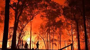 Evan collis / dfes via ap. Australia Fires Catastrophic Alerts In South Australia And Victoria Bbc News