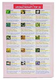 essential oil charts pdf bedowntowndaytona com