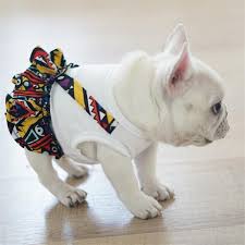 Bzb hawaiian style dog clothes french bulldog pet clothing summer pet shirts for small medium dogs puppy chihuahua ropa perro pug 2.2 out of 5 stars 3 $10.99 $ 10. Summer Dog Dress Poodle Bichon Corgi Pug Clothes French Bulldog Clothi Frenchie World Shop French Bulldog Clothes Pug Clothes Girl And Dog