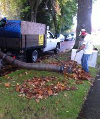 Sage landscape is your convenient, one stop source for all your landscape maintenance needs. Yard Clean Up Lawn Care Lawn Mowing Service In Olympia Wa