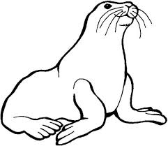 Preschool Kids Love Animal Seal Coloring Page Coloring Sky In 2020 Lion Coloring Pages Horse Coloring Pages Animal Coloring Pages
