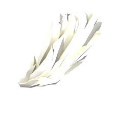 Arctic Fox Tail Arctic Fox Arctic Foxtail