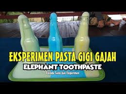 Eksperimen Pasta Gigi Gajah Elephant Toothpaste Percobaan Sains Sederhana Youtube